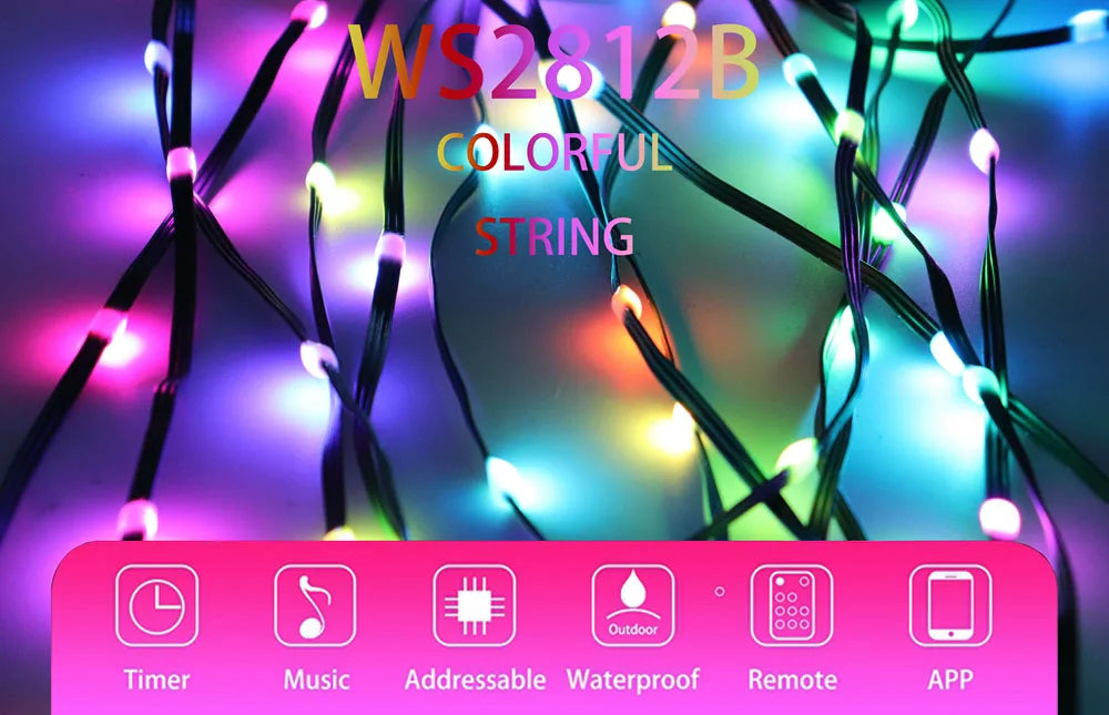 DC5V Addressable WS2812B LED String Transport Green Black Wire WS2812 3PIN Wire RGB Strip Christmas Lights Waterproof Decor