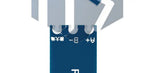 TTL-RS485 Bidirectional Converter Module: Serial UART Level Shifter with Auto-Flow Control – 3.3V/5V Power Supply