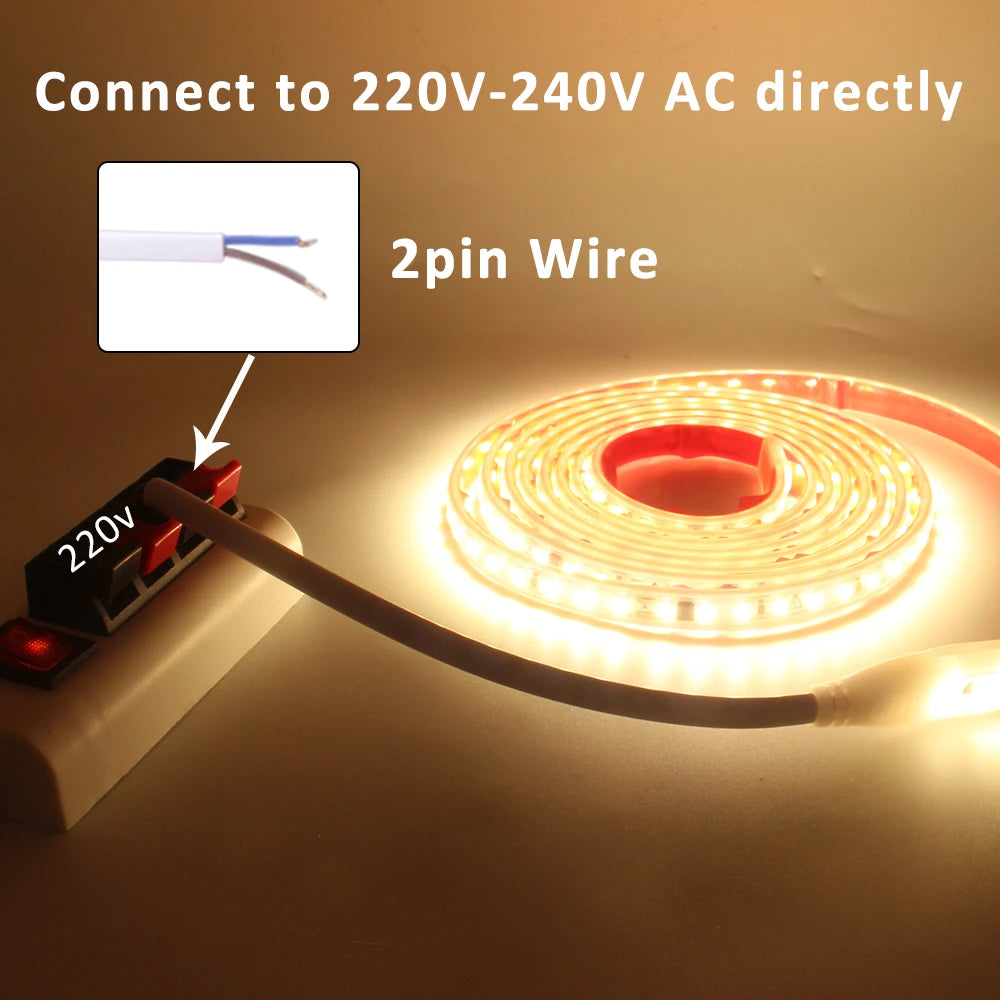 220V LED Strip Light SMD2835 120LEDs/m Waterproof Tape Lamp with EU Plug 1M 2M 3M 5M 10M 15M 20M Decor Lighting for the Yard