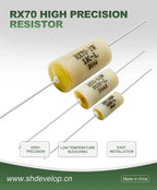 Rx70 High-Precision Sampling Wirewound Fixed Resistor 0.25W 0.5W 1W 2W 3W Plug-In Low-Temperature Drift Standard Resistor 1R to 500R 1K to 100K 100K to 1m 0.01% 0.02%