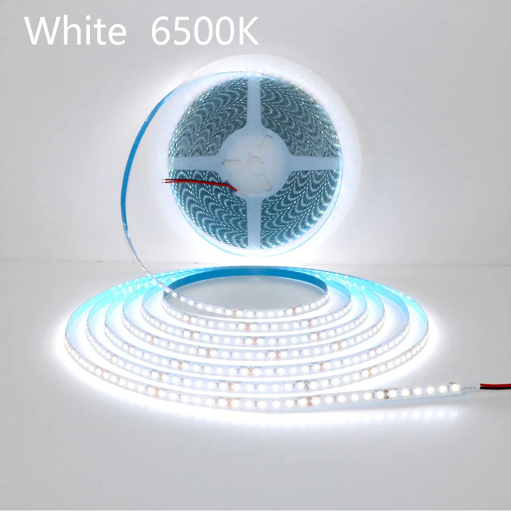 Single Strip 5m 10m 15M 20m Long LED Strip DC24V 120LEDs/m Light Strip Flexible Cuttable Whole Length Is 20meters Soft Lamp Bar