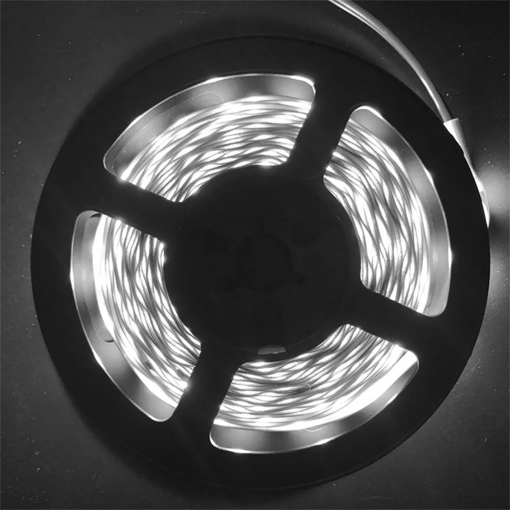 5M LED Strip Light 300 LEDs DC 12V RGB Red Green Blue Warm Cool White Flexible SMD 2835 Diode Ribbon Tape Lamp for Home Decor