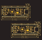 Raspberry Pi Pico or Pico W Development Board A Low-Cost High-Performance Microcontroller Board RP2040 Cortex-M0+ Dual-Core ARM