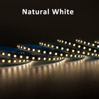 12V 2835 LED Strip Light 120LEDs/M Red Green Blue Yellow Warm WhiteTape Ribbon High Brightness 8mm Lamp For Room Decor Lighting