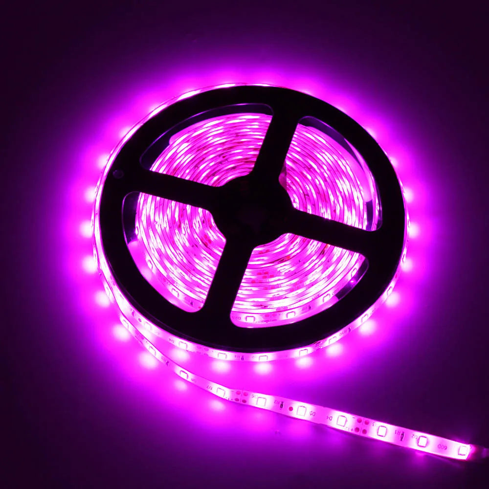 5m Waterproof 300LED 3528 2835 LED strip, 12V Flexible Lght 60 Or 120 Led/m LED Tape, RGB/White/Warm White/Blue/GreenRed/Yellow