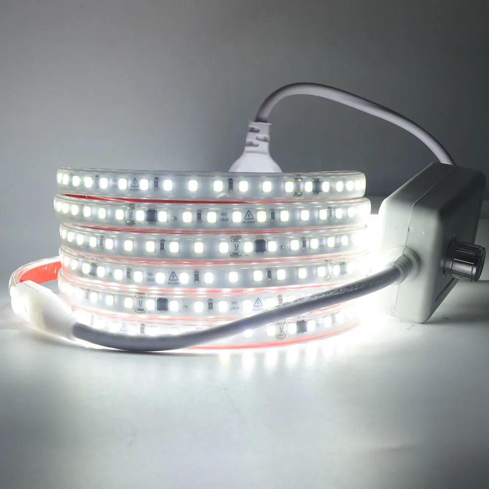 Dimmable LED Strip Light 220V Switch EU Power Dimmer Kit Waterproof 2835 120LEDs/M High Bright Flex Tape Home Decor 0.5M 10M 20M
