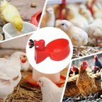 5-50Pcs Chicken Duck Drinking Cup Automatic Drinker Chicken Feeder Plastic Poultry Farm Water Drinking Cups Easy Installation