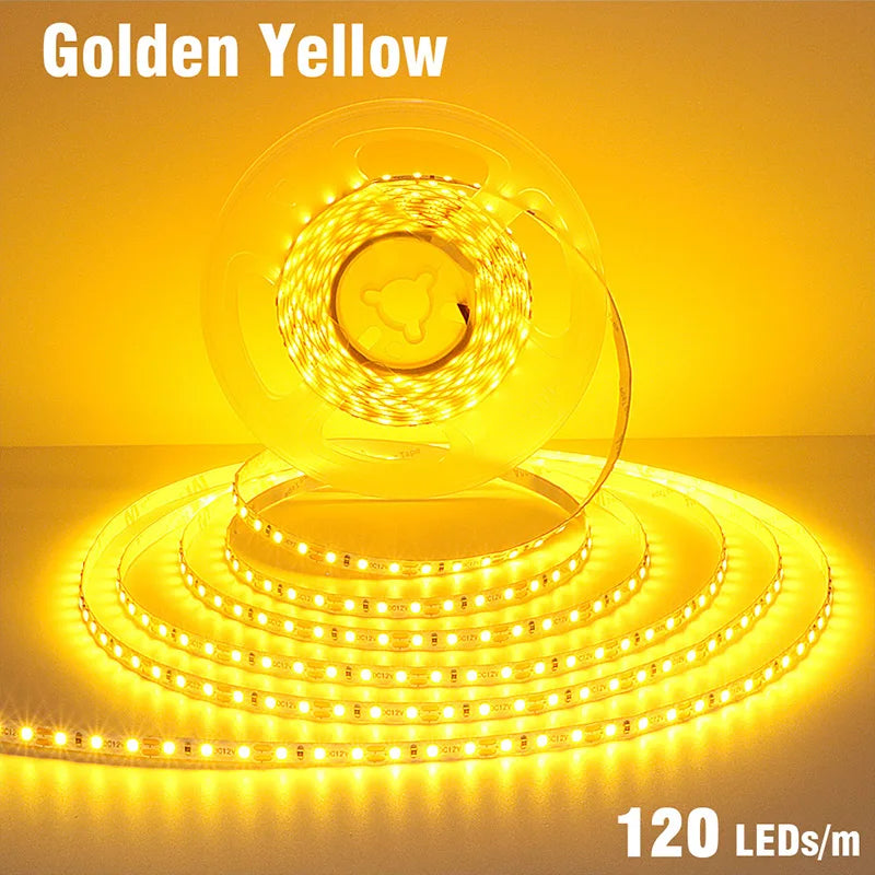 5mm 8mm LED Strip 2835 DC24V 12V 120LEDs/m Home Lamp Strips Red Ice Blue Yellow Orange Pink Flexible And Cuttable Soft Lamp Bar