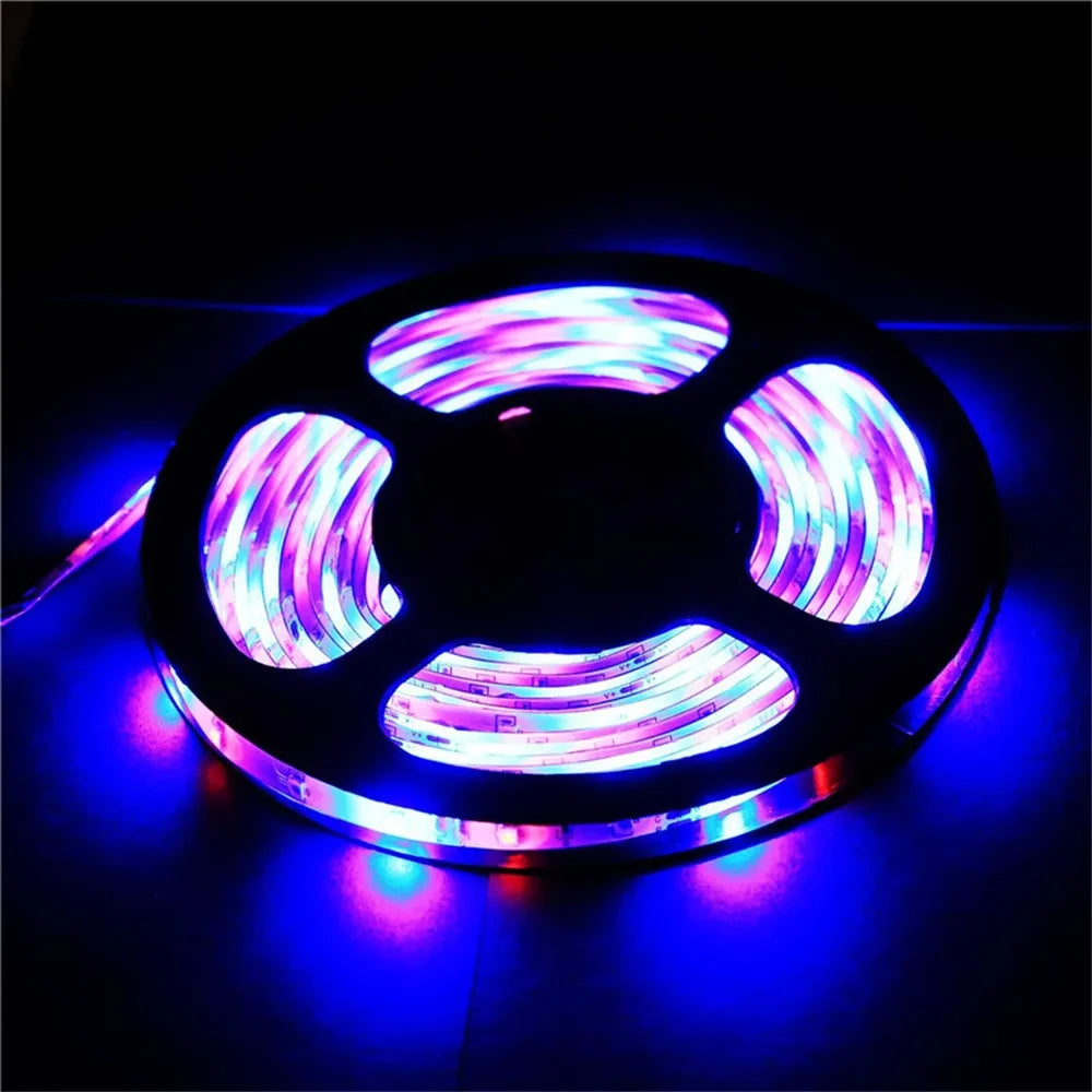 5M LED Strip Light 12V 300 Leds SMD 3528 RGB & Single Color Flexible Ribbon High Quality Home Decoration Lights