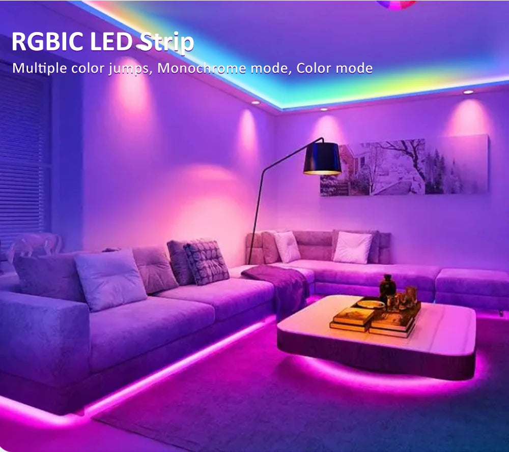 WS2811 RGB IC Running Water Flowing Strip Lights DC 24V 5050 60Leds RGBIC Flexible Ribbon RF Touch Remote Control LED Lighting