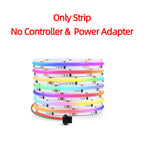Smart TUYA WS2811 RGB IC Dreamcolor COB LED Strip Light Segment LED Control Music Mode Voice Control Support Alexa Google Home