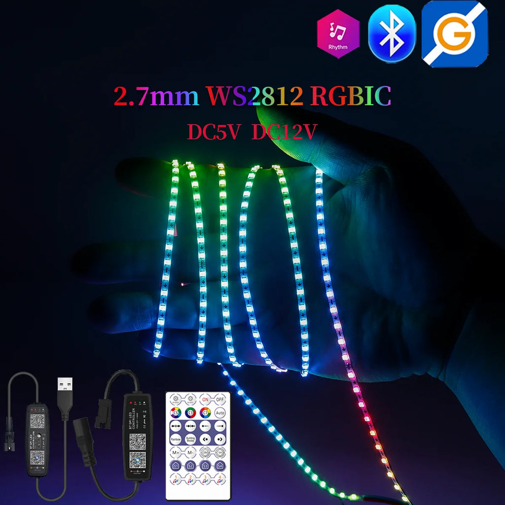 2.7mm WS2812 RGBIC LED Light 160Leds/M WS2812B 2020SMD Addressable Strip Lamp With DC/USB 28keys BT Music Led Controller DC5/12V