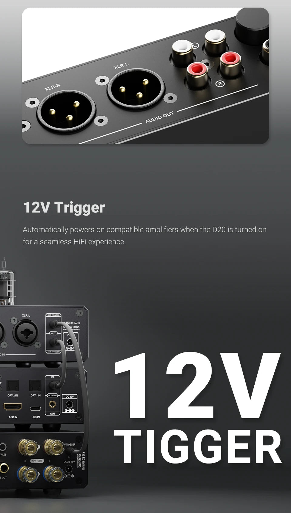 AIYIMA D20 HiFi DAC Decoder AK4493SEQ ES9039Q2M XMOS XU316 USB DSD512 Bluetooth 5.1 LDAC RCA XLR Audio Converter VU Meter