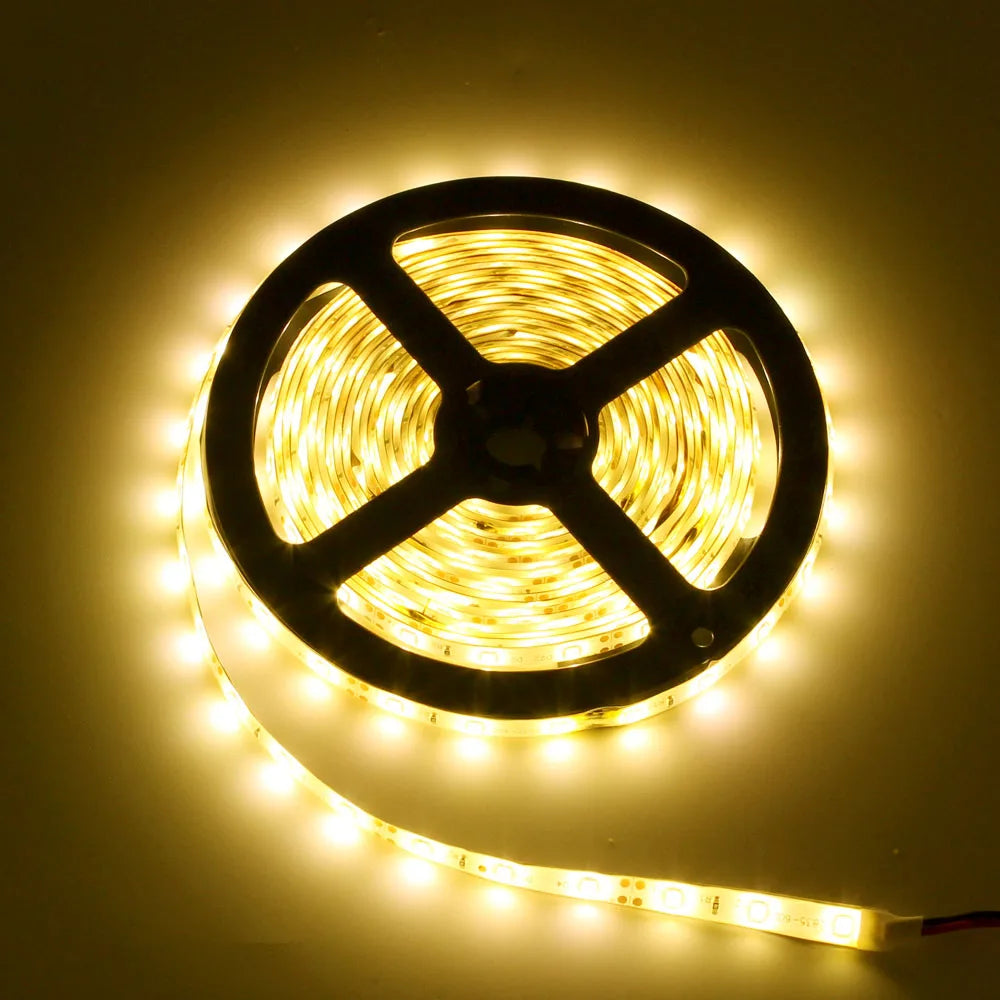 5m Waterproof 300LED 3528 2835 LED strip, 12V Flexible Lght 60 Or 120 Led/m LED Tape, RGB/White/Warm White/Blue/GreenRed/Yellow