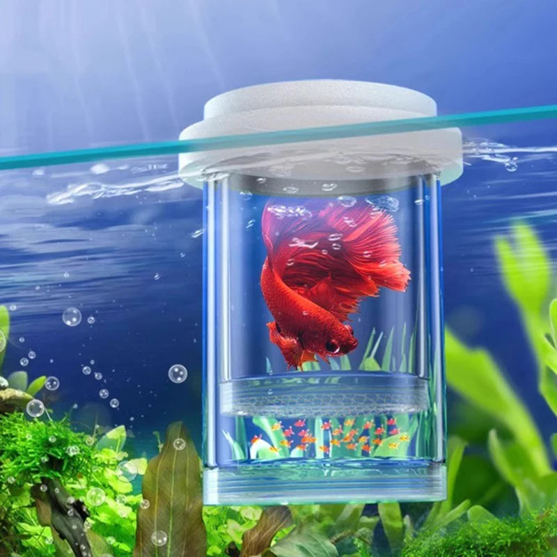 Hot Sale Floating Fish Breeding Isolation Box Aquarium Fish Tank Hatching Incubator Hatching Incubator Feeder Aquarium Hatchery