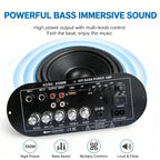 Woopker D350W HIFI Bass Power Amplifier 100W Bluetooth/USB/TF/FM Amplifier board Dual Mic AD/DC Digital Amplifier Board for home