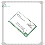 24-Hour Delivery EBYTE SPI Interface SX1262 Lora Module 32Mhz High-Precision TCXO E22-900M30S 850-930Mhz 30Dbm 12Km Low Power