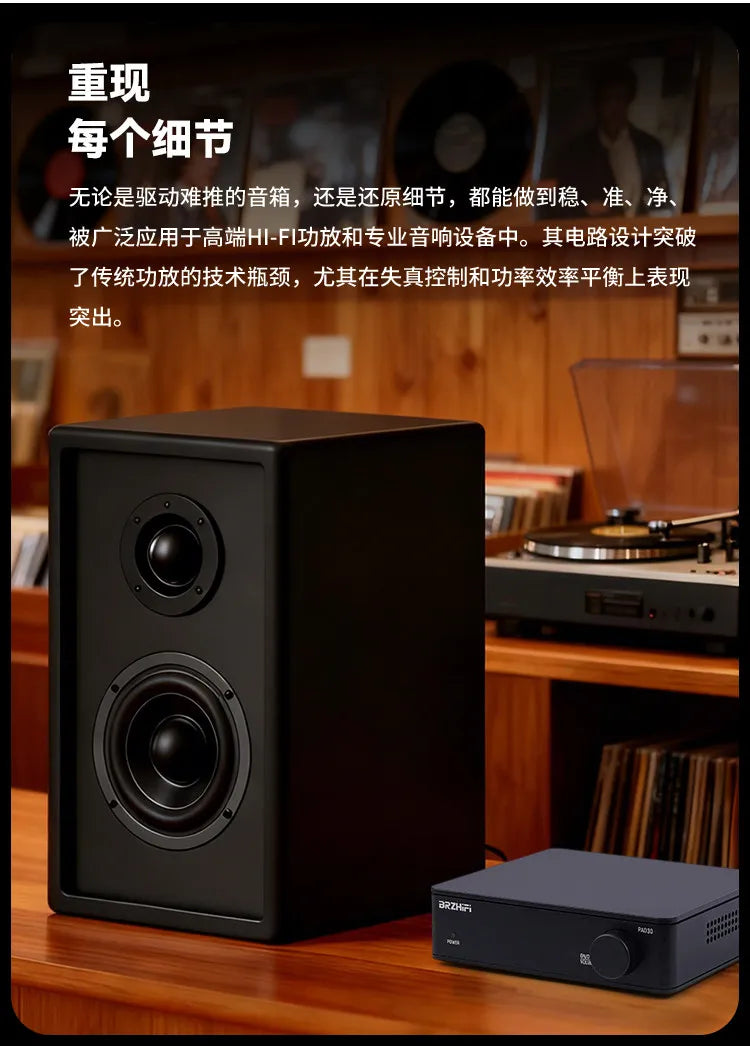 R-72 BRZHIFI Small Household High-End Digital Power Amplifier TPA3255 Dual-Core Power Amplifier PAD-30