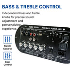 Woopker D350W HIFI Bass Power Amplifier 100W Bluetooth/USB/TF/FM Amplifier board Dual Mic AD/DC Digital Amplifier Board for home