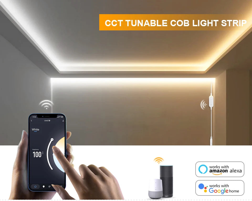 CCT 2700K-6500K Changeable Lamp Tuya Smart Home COB LED Strip Alexa Light Linear LED Tape With Dimmable WiFi LED Dimmer Switch