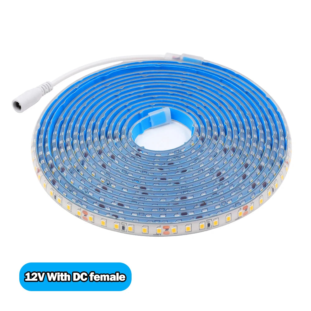 IP68 Waterproof LED Strip Light 2835 12V 24V 120LED/m with 2-pin Wire/ DC Plug Flexible Adhesive Tape 3000k/4500K/6000K 1M-20M