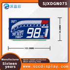 Wholesale Customization SJXDGN075 Wide Temperature Digital Display LCD Screen HTN Anti Glare Segment Code Screen for Motorcycles