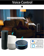 Tuya Smart WiFi LED Bulb Light AC 220V 110V E27 10W 15W 20W LED Lamp Dimmable APP Voice Control Works With Alexa Google Home