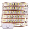 12V 5m SMD 2835 2025 LED Strip Light DC 480 240 120 LEDs Tape Flexible LED Lights Indoor Lingting for Home Waterproof IP65 IP67