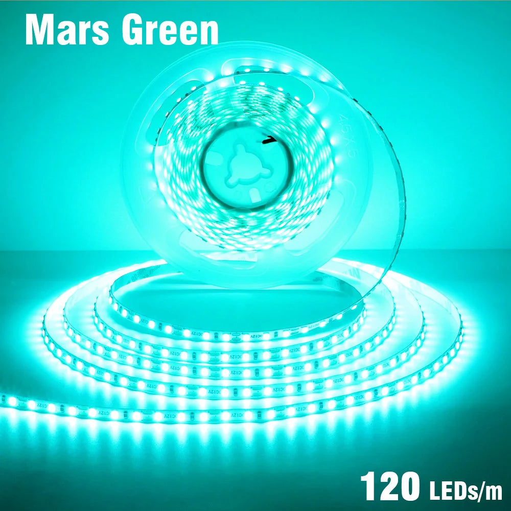 5mm 8mm LED Strip 2835 DC24V 12V 120LEDs/m Home Lamp Strips Red Ice Blue Yellow Orange Pink Flexible And Cuttable Soft Lamp Bar