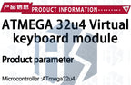 Beetle Leonardo ATMEGA32U4 Ultra-Compact USB-Capable Development Board for Arduino