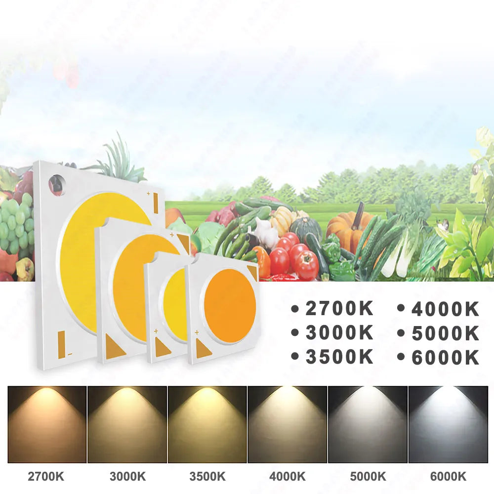 Hydroponice 3W 5W 10W 20W 30W 50W 100W COB LED Grow Light Chip Full Spectrum 400-840nm for Indoor Plant Seedling Growing Flower