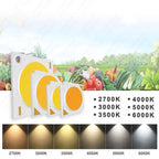 Hydroponice 3W 5W 10W 20W 30W 50W 100W COB LED Grow Light Chip Full Spectrum 400-840nm for Indoor Plant Seedling Growing Flower
