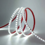 AC 2835 Led Strip Lights Dimmable 220V 230V 120 LEDs/m 0.5m 1m 2m 5m 10m 20m 50m Waterproof High Brightness Diode Tape Adhesive