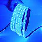 24V IP68 Waterproof LED Strip 120Leds White/Pink/Yellow/Red/Ice Blue/Green Swimming Pool Home Decor Flexible Ribbon Rope Light