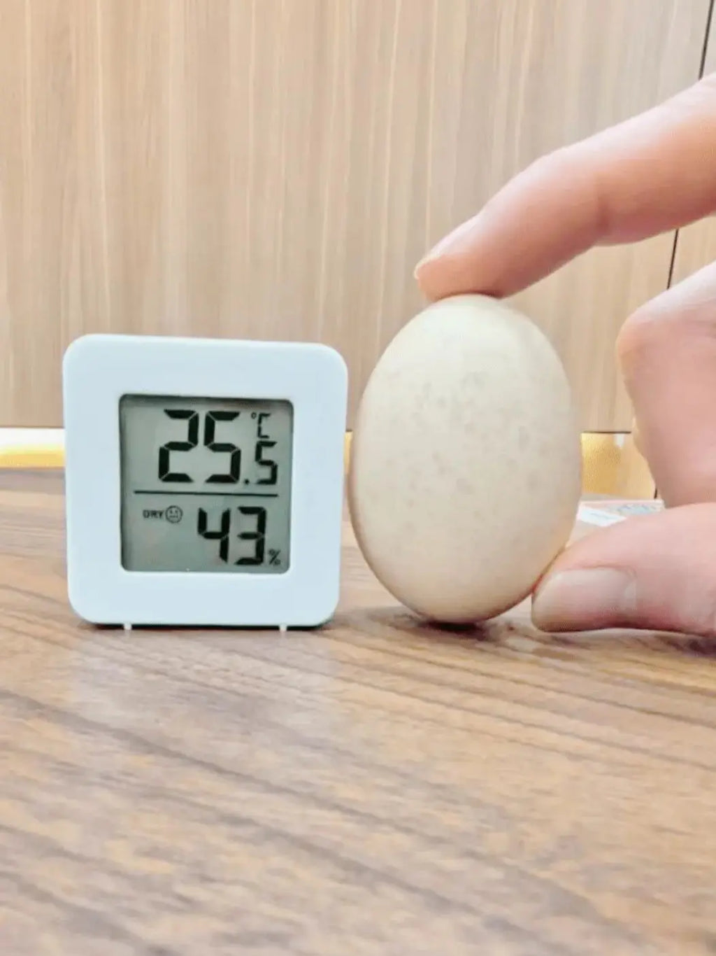 Mini LCD Hygrometer Thermometer Indoor Household New Digital Temperature Humidity Meter Digital Display Wall Mounted Sensor