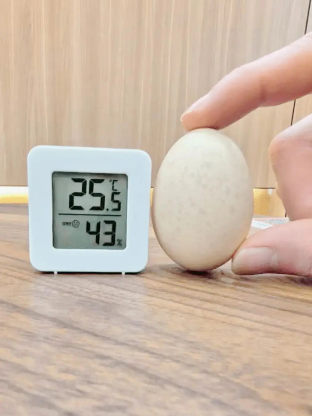 Mini LCD Hygrometer Thermometer Indoor Household New Digital Temperature Humidity Meter Digital Display Wall Mounted Sensor