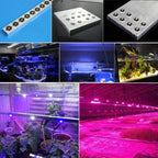 Driverless 3x1W 3x3W LED Chip DC 12V 24V Warm Cool White Red Green Blue Yellow UVA Purple Aluminum PCB For 1W 3W 5W Light Beads