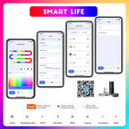 TUYA Addressable Controller With 24Keys Remote Control RGBIC Smartlife RGBIC LED Strip Controller Chase effect Work With Alexa