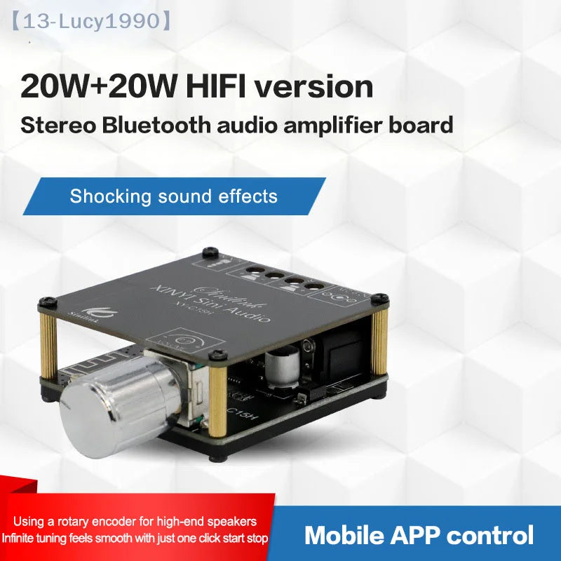 2*20W Bluetooth 5.0 Power Amplifier Class D Audio 10W~100W HiFi Stereo Wireless Music Player Mini USB Sound Card App Digital AMP
