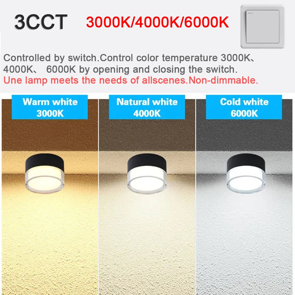 Led Surface Downlight 3CCT Tuya Bluetooth/ Zigbee Matter Fixtures Lighting Indoor Smart Lamp Lighting