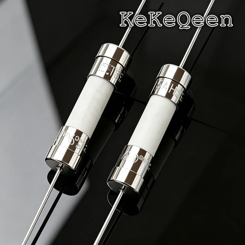 Original Ceramic Fuse 5*20mm 5*20 T5A 250V With 2 Pin Fuse Slow Blow Fuse 5X20MM LFT5AH250V  0215005.MXEP 215005