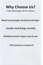 CNTD CHL-5200 Industrial Limit Switch Roller Plunger 6A 250V AC IP65 Heavy Duty Waterproof for Automation Machinery