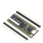 Sipeed Lichee Tang Nano Minimalist FPGA Development Board Straight Insert Breadboard