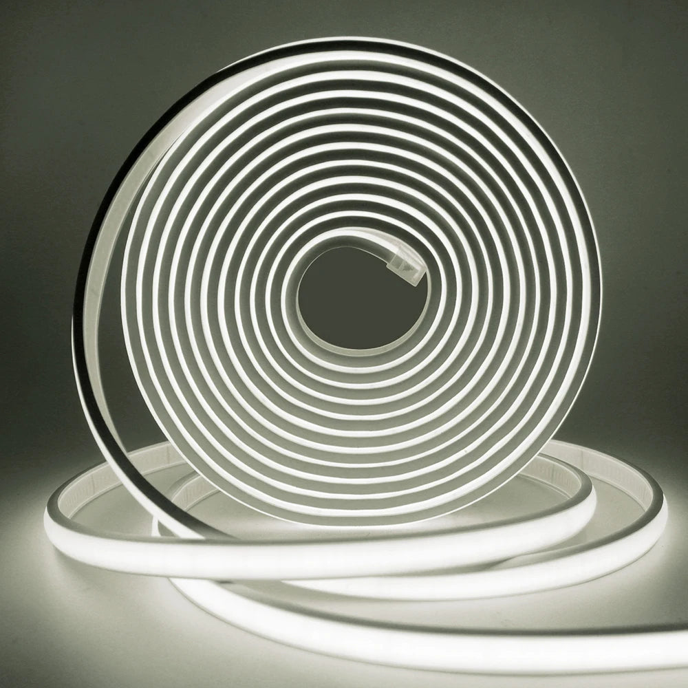 12V 24V COB LED Neon Strip Light IP68 Waterproof 320LEDs/m 2PIN Wire DC Plug 3000K 4000K 6000K Flexible Tape Rome Lighting 0.5m