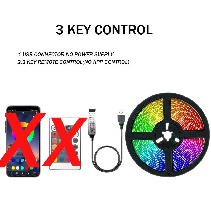 5050 RGB USB LED Strip 5V Bluetooth WiFi Control 16 Million Colors App Voice Remote for Room TV Backlight Decoration