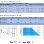 2Pcs EE BWL High Precision Resistor 0.1% Low Temperature Coefficient Drift Sampling Non-inductive 0.25W 0.5W 1W 2W 0.01R to 10MR