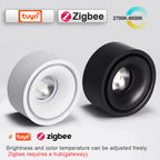 LED Surface Mounted Ceiling Light, 3CCT TUYA Bluetooth/Zigbee Matter Smart Spotlight Dimmable AC110V 220V Indoor Lighting