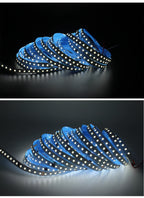 20M 15M 5M 10M Running Water Flowing LED Strip Light DC24 WS2811 SMD2835 Horse Race Pixel Addressable Flexible Linear Lamp Set