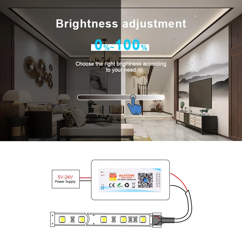 Tuya WiFi Smart LED Controller DC5-24V Single Color Dimmer CCT RGB RGBW RGBCCT LED Strip APP Remote Works with Alexa Google Home