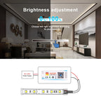 Tuya WiFi Smart LED Controller DC5-24V Single Color Dimmer CCT RGB RGBW RGBCCT LED Strip APP Remote Works with Alexa Google Home